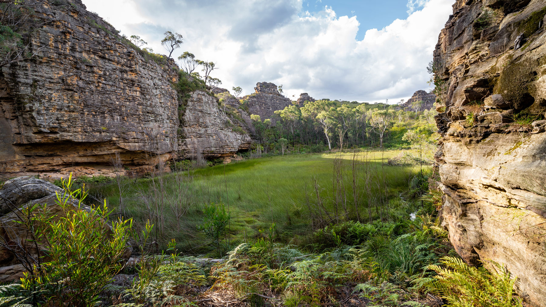 SATURDAY BL - Gooch's Crater Hike [Intermediate]