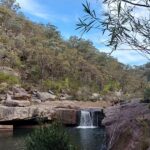 [Beginner] Day Hike - Minerva Pool Botanizing