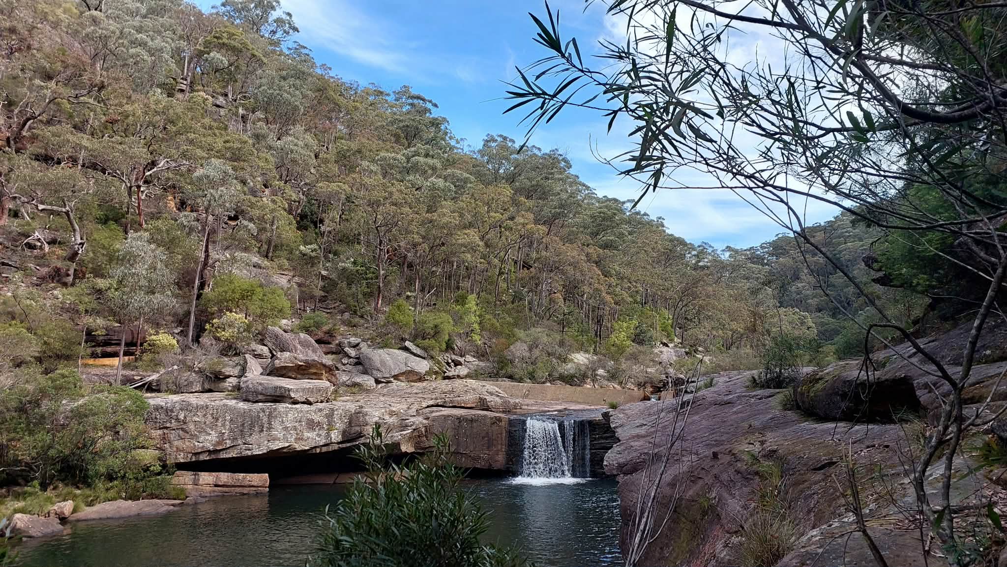 [Beginner] Day Hike - Minerva Pool Botanizing