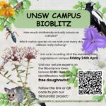 🕊️🌻 UNSW Campus BioBlitz 🐦🌷 | 24th April 2026