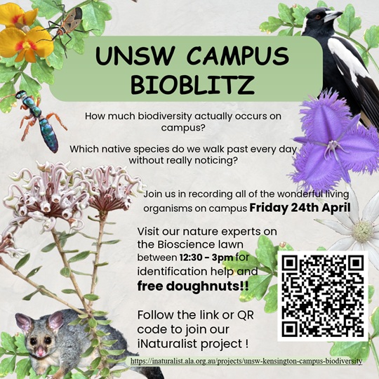 🕊️🌻 UNSW Campus BioBlitz 🐦🌷 | 24th April 2026
