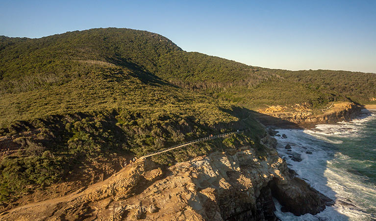 [UNSWOC + Wandersoc] Bouddi Explorer Hike