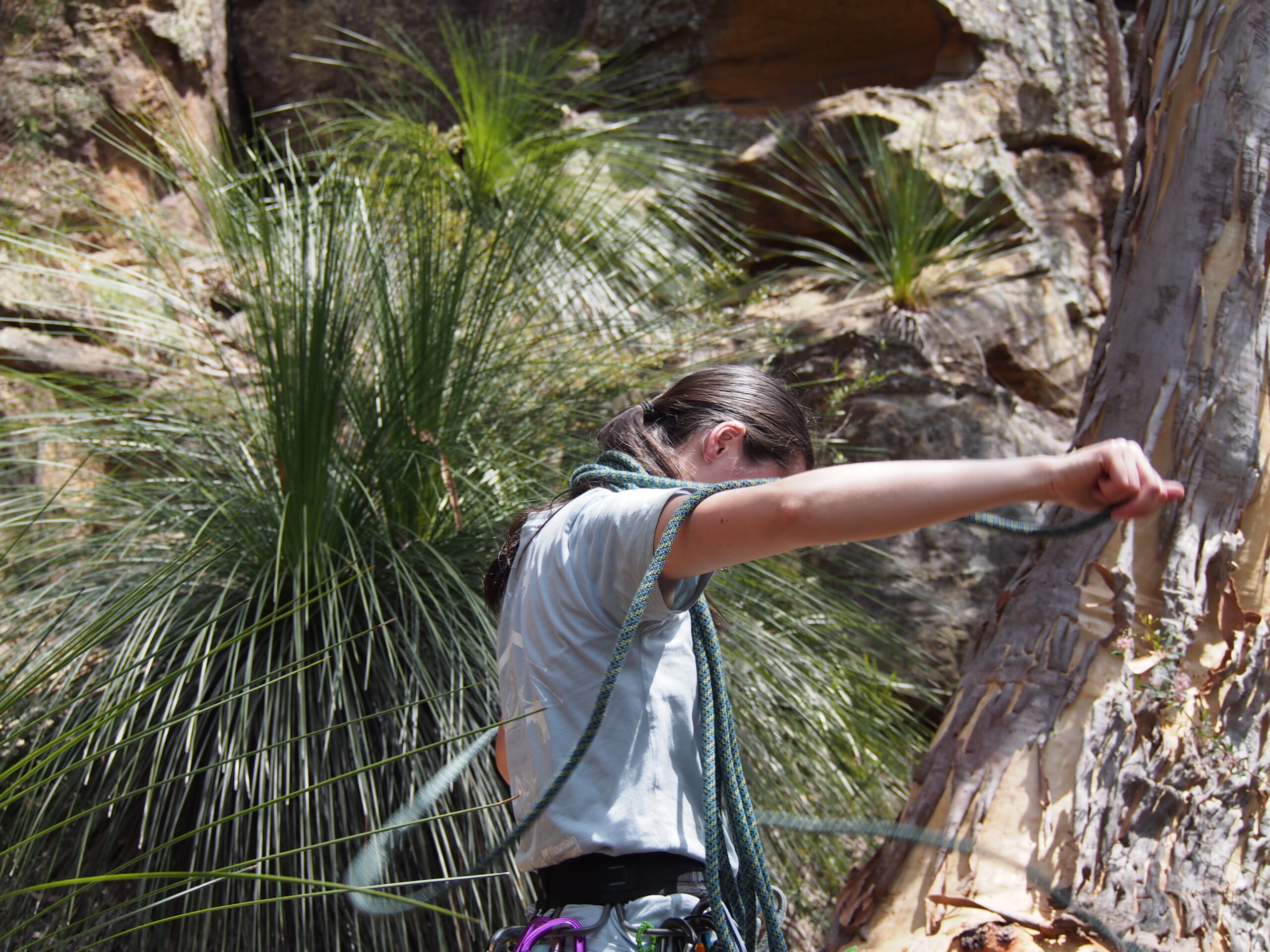 Berowra Beginner Sport Climbing