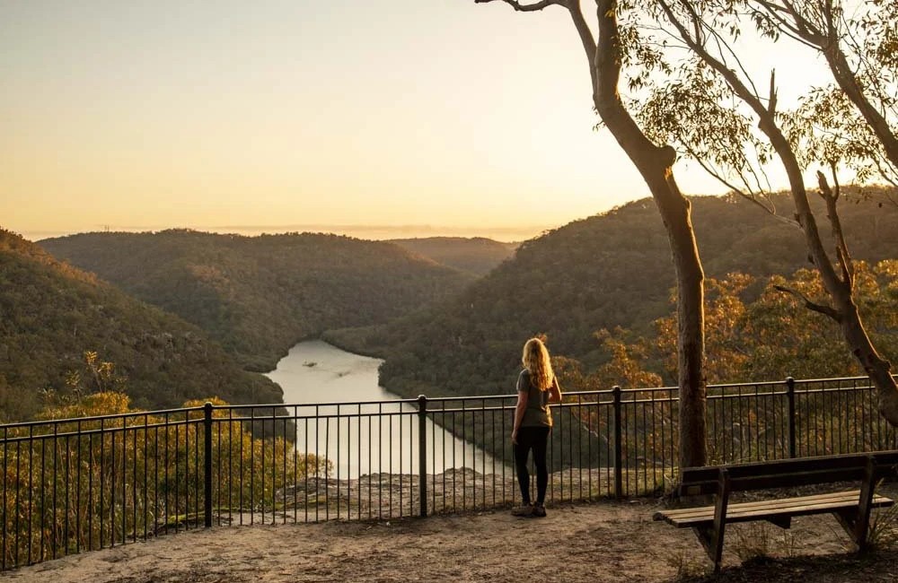 Welcome to the Club - Beginners Social Hike, Mt Kuring-gai