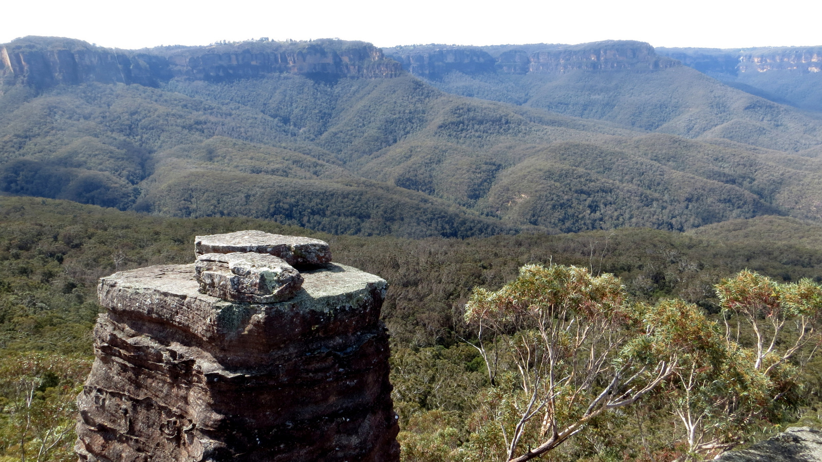 Saturday BL – Ruined Castle 🏰 day hike [beginner]