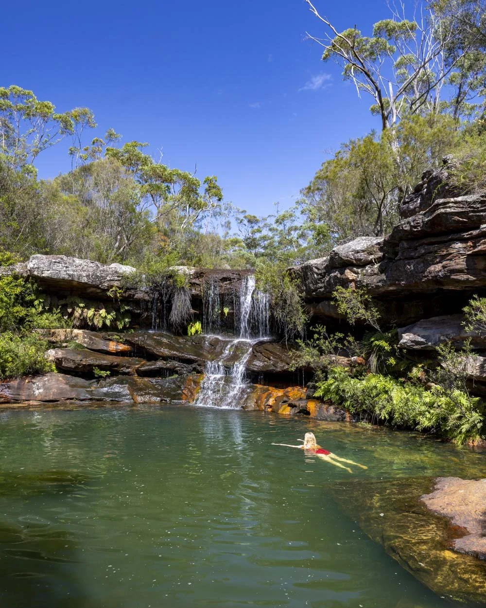 [Beginner/ Intermediate Hike] Heathcote; Kangaroo Creek Pools, Uloola Falls and Karloo pools
